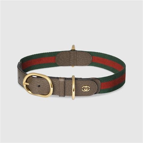 gucci colier|gucci dog collection.